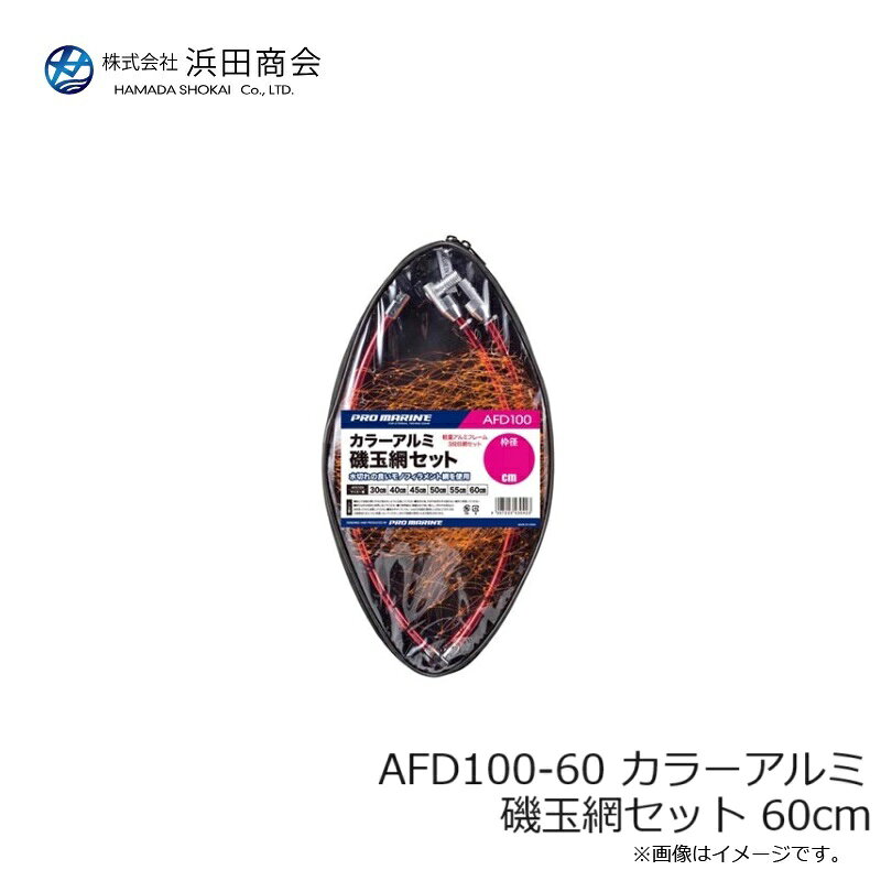 ���ľ���AFD100-60 ���顼����� ����֥��å� 60cm