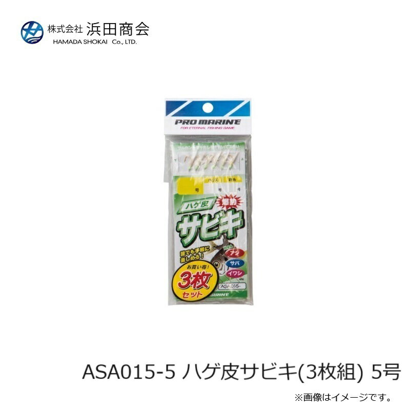 ���ľ���ASA015-5 �ϥ��饵�ӥ�(3����) 5��