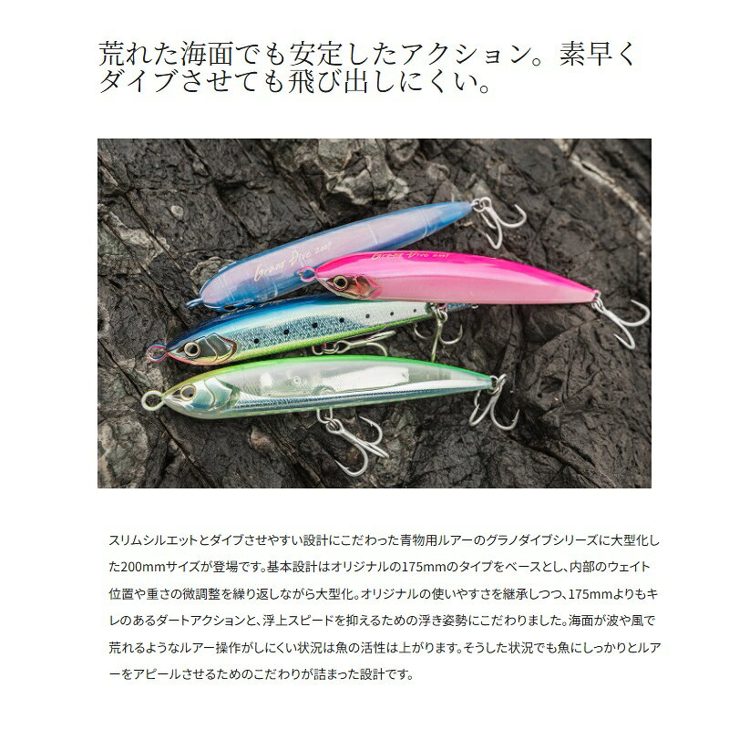 グラノダイブ 200F/200F フラッシュブースト NRKマットマイワシ の商品画像3枚目