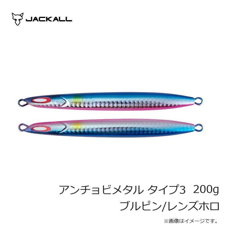 アンチョビメタル TYPE-3 200g ブルピン/レンズホロ (3)