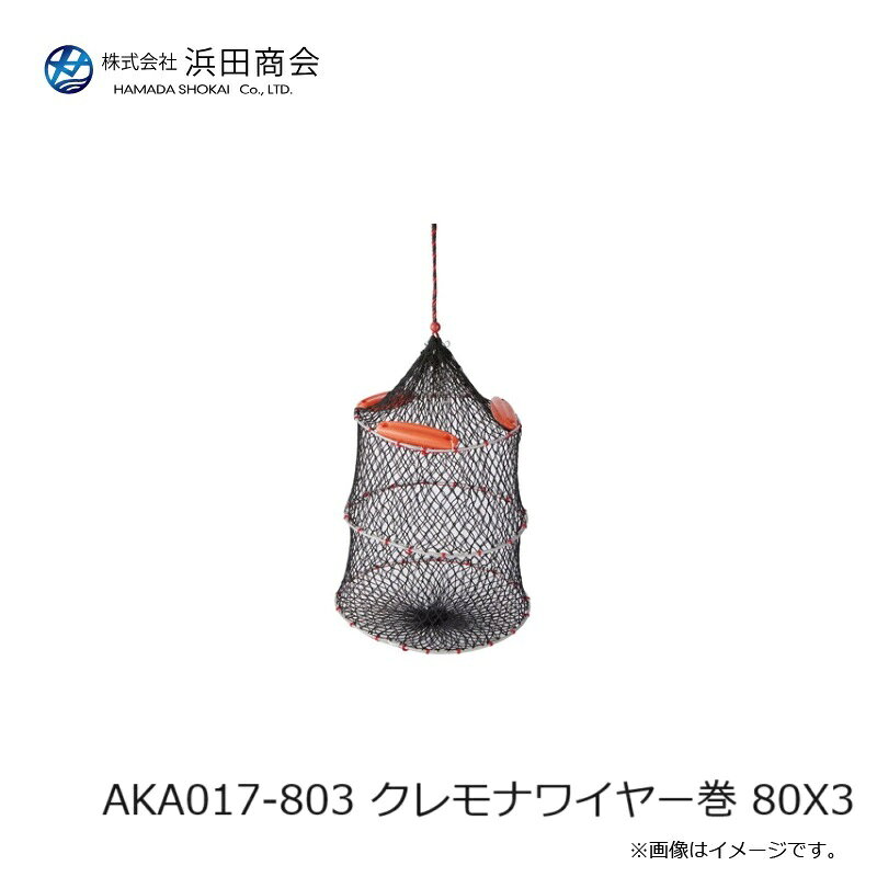 ���ľ���AKA017-803 �����ʥ磻�䡼�� 80��3