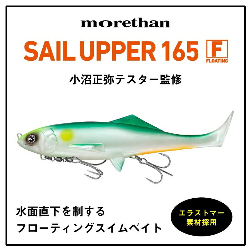 モアザン セイルアッパー165F 落チ鮎♀ (2)