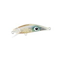 デュオ テトラワークス トト42S CCC0653 子アオリグロー