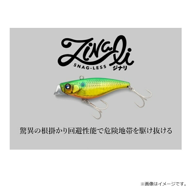 ジナリ 65 グローチャートパール の商品画像2枚目