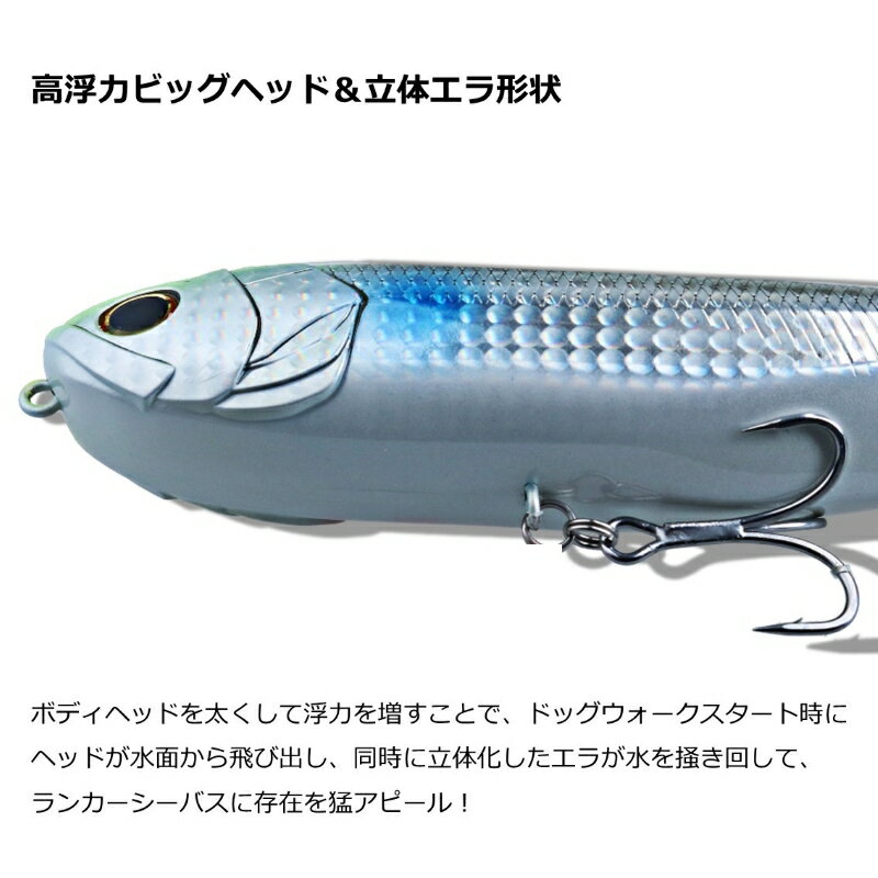 モアザン モンスタースライダー200F アデルダブルチャートコノシロ (3)
