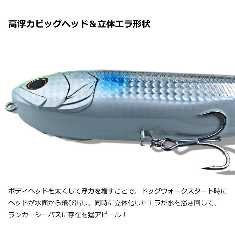モアザン モンスタースライダー200F チャートバックパール の商品画像3枚目