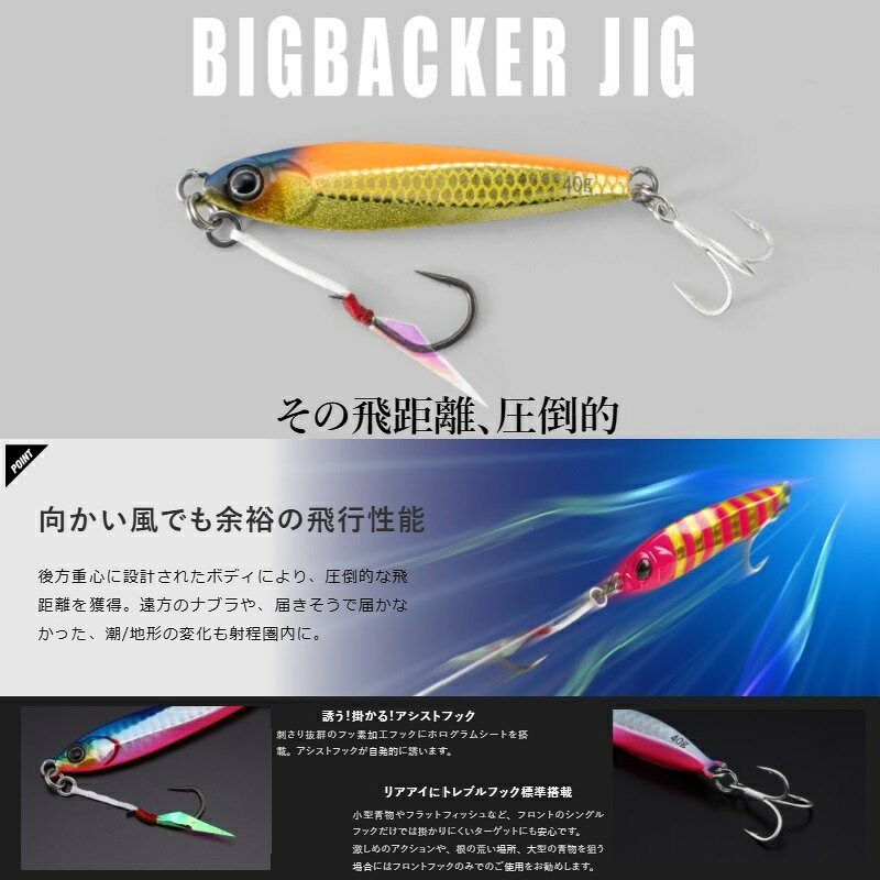 ビッグバッカー ジグ 40g しょごたんオレキン の商品画像2枚目