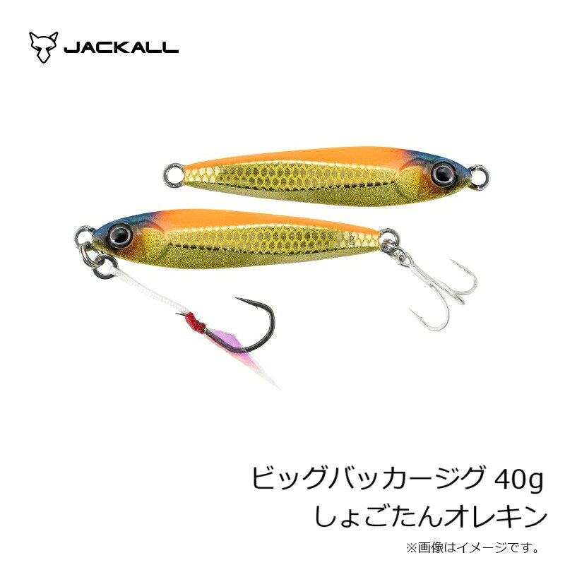 ビッグバッカー ジグ 40g しょごたんオレキン の商品画像3枚目
