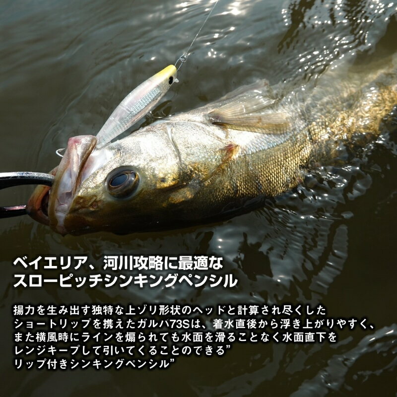 モアザン ガルバ73S レーザーインパクト モアザン ガルバ73S レーザーインパクト LI SEAMOSS (3)