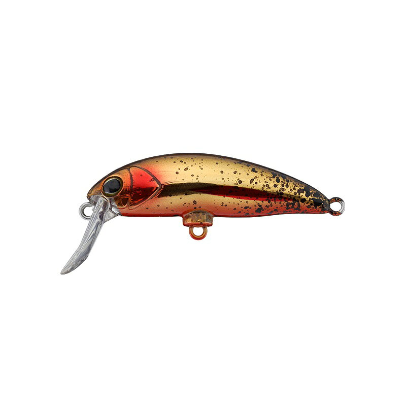 Timon C&R Buriburi Minnow (F) HL Golden Trout