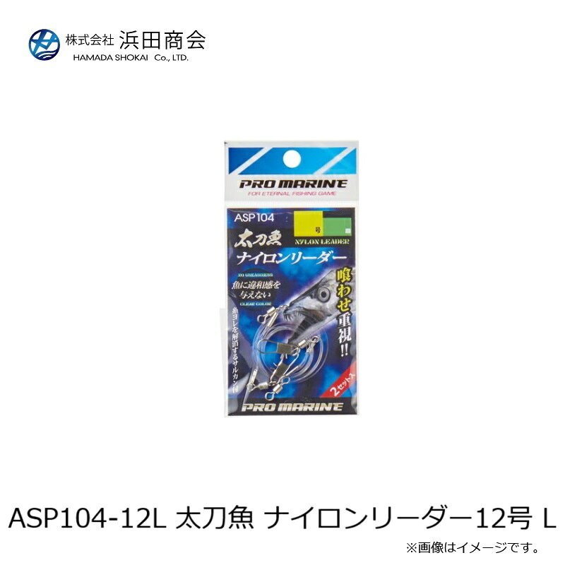 ���ľ���ASP104-12L ����� �ʥ�����꡼����12�� L