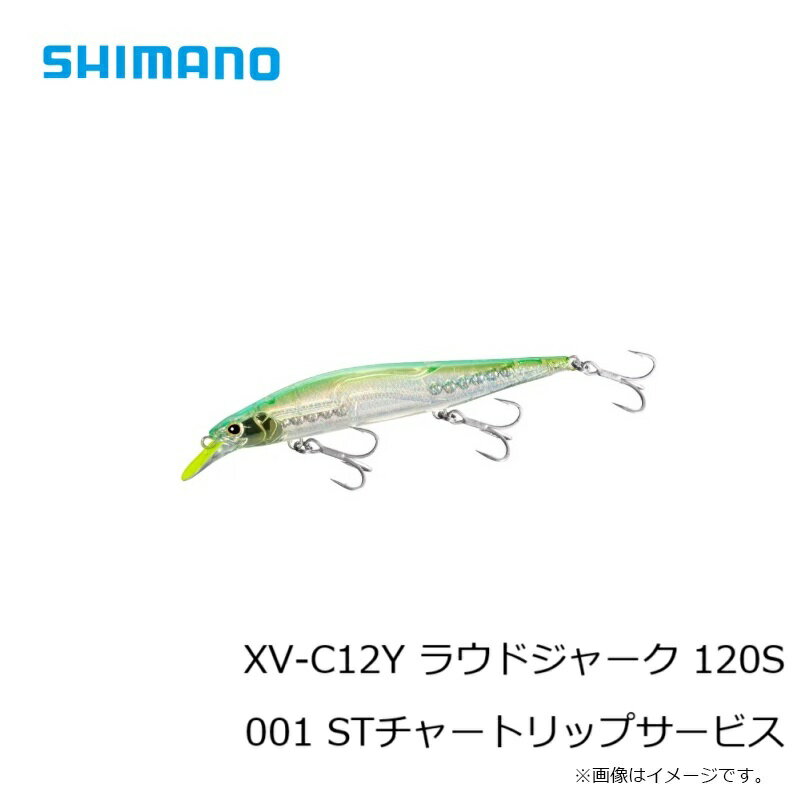ラウドジャーク 120S STチャートリップサービス (3)