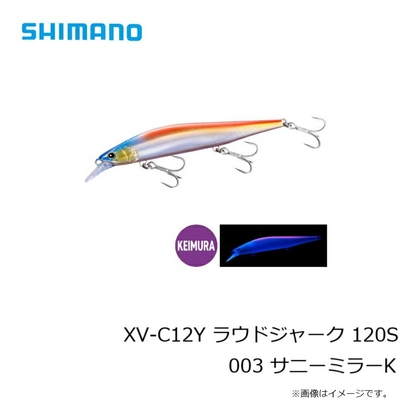 ラウドジャーク 120S サニーミラーK (3)