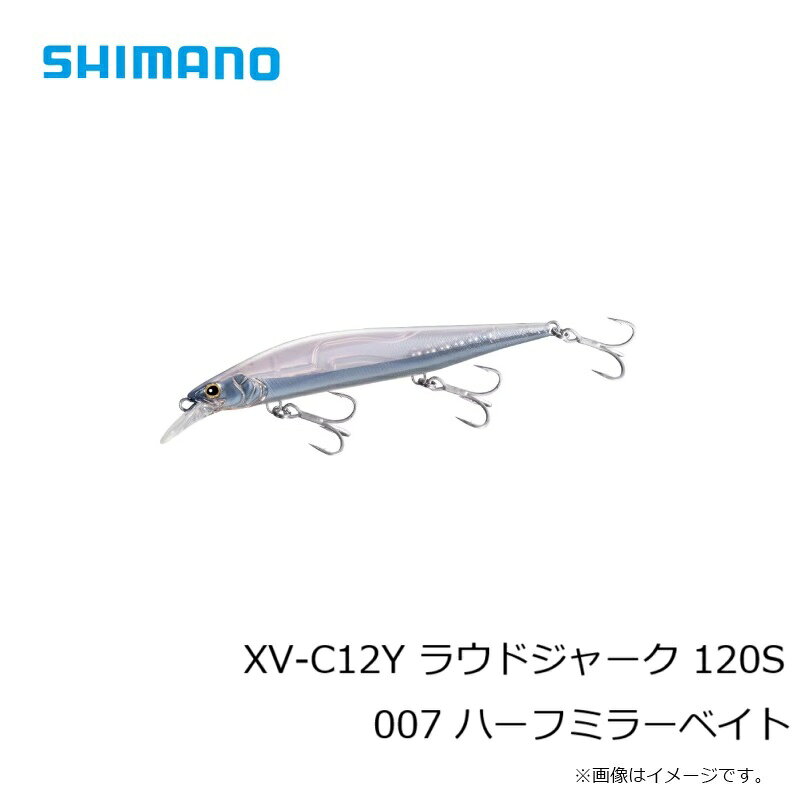 ラウドジャーク 120S ハーフミラーベイト (3)