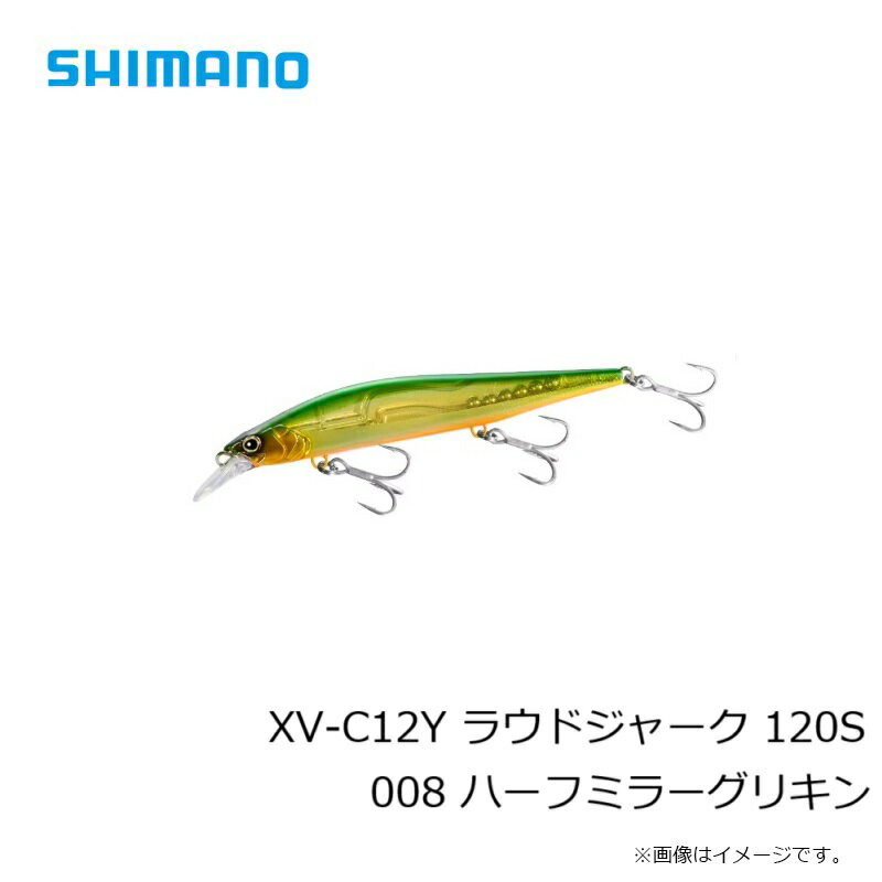 ラウドジャーク 120S ハーフミラーグリキン (3)