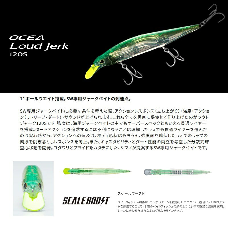 ラウドジャーク 120S チャートバックパールシャッド の商品画像2枚目