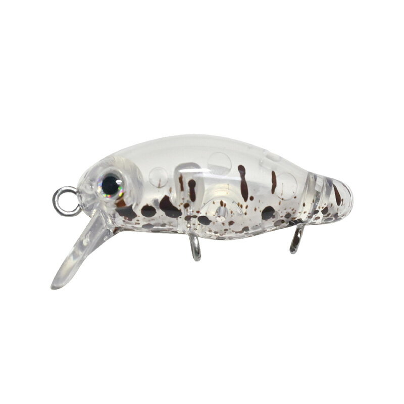 スミス　カディス 16 スプラッシュベリー