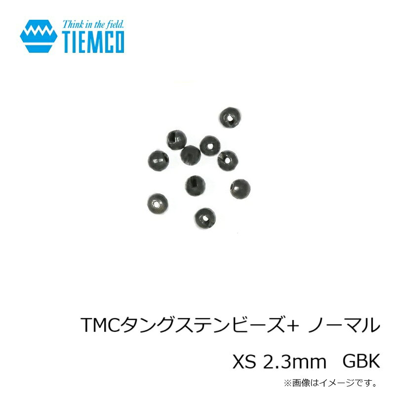 ティムコ　TMCタングステンビーズ+ ノーマル XS 2.3mm GBK