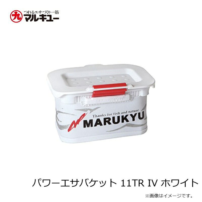�ޥ륭�塼���ѥ�����Х��å� 11TR IV �ۥ磻��