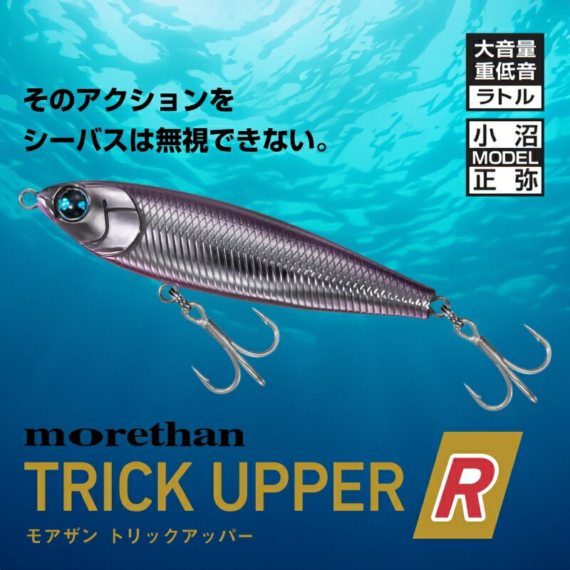 MORETHAN トリックアッパーR65F MORETHAN トリックアッパーR65F 小沼スペシャル (2)