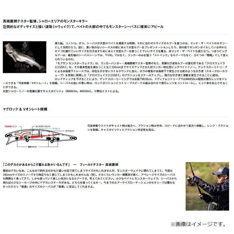 モアザン モンスターウェイク156F チャートバックパール (2)
