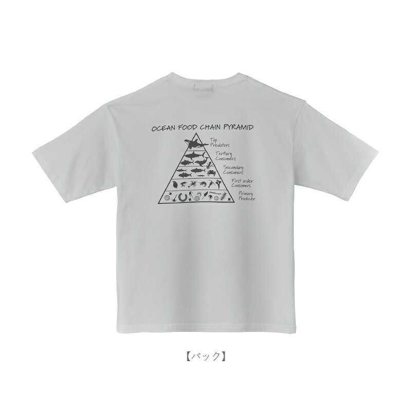 ���ޤ��ġ�GM3782 �ץ���T�����(��ʪϢ��) �ۥ磻�� LL