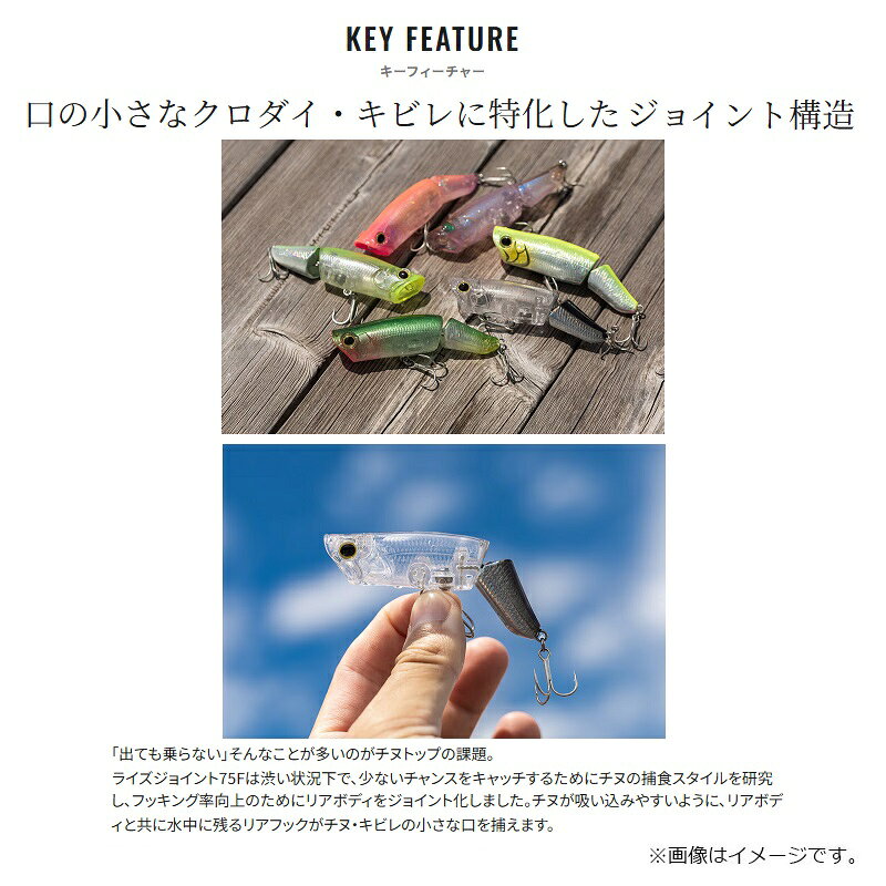 ライズジョイント 75F クリアベイト の商品画像3枚目