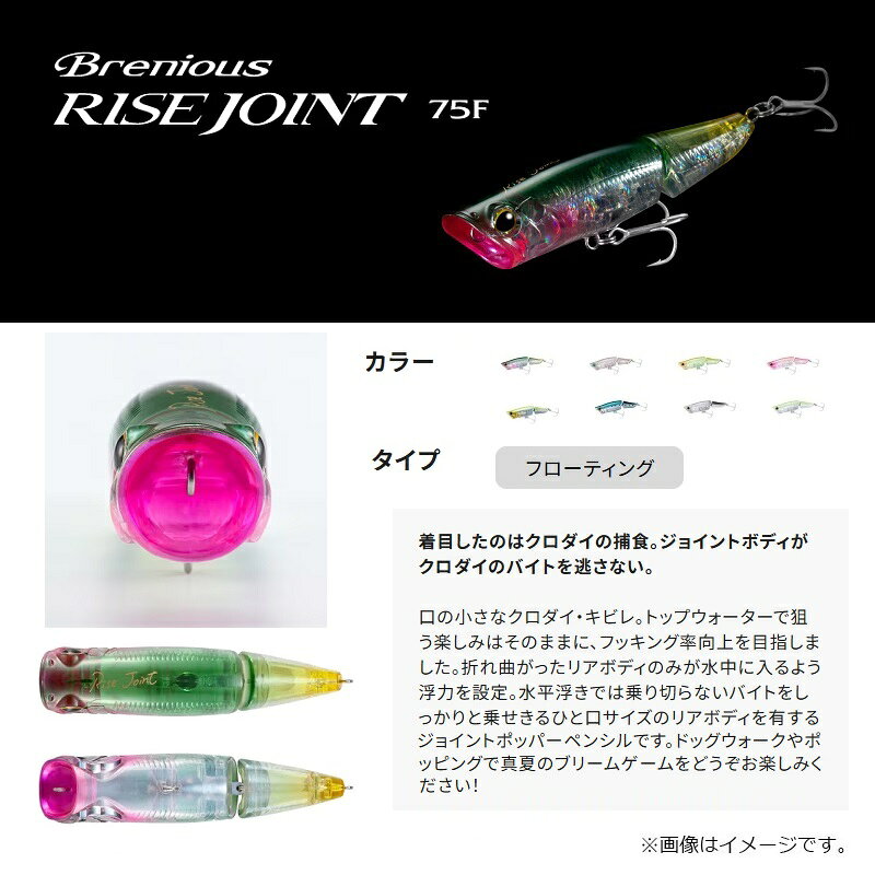ライズジョイント 75F クロムイワシ の商品画像2枚目