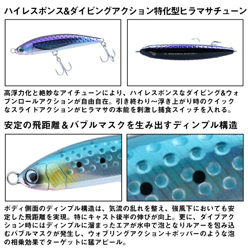 ソルティガ ラフライド160F HM ゴースト・グリーン クルーズカスタム の商品画像3枚目