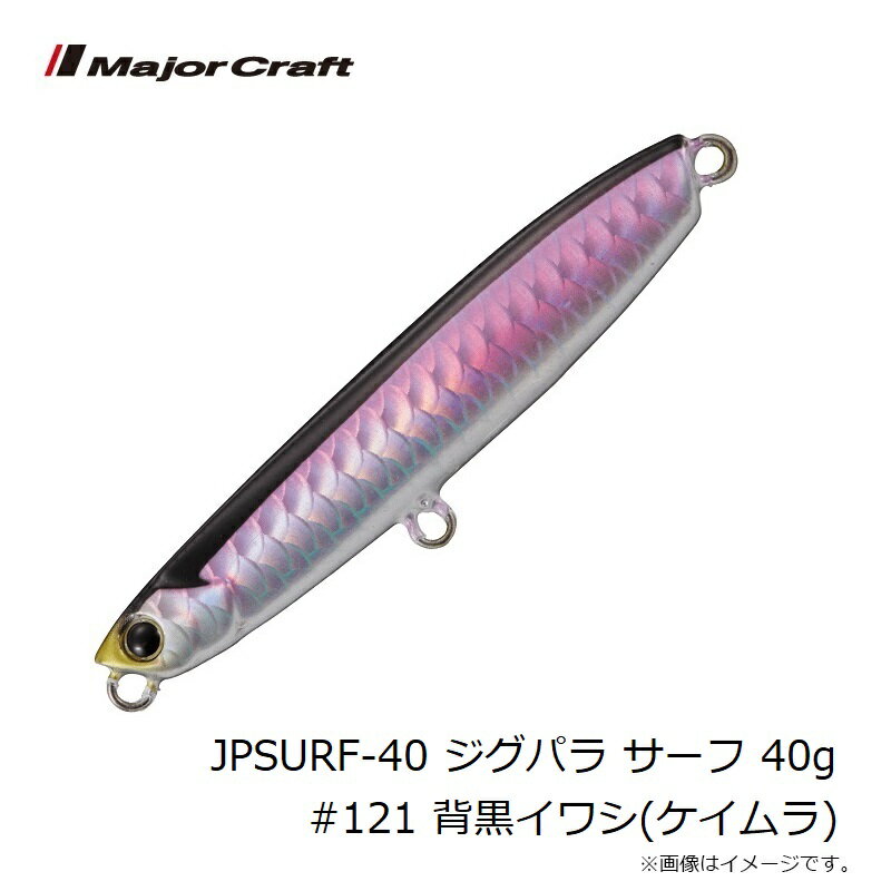 ジグパラ サーフ 40g 背黒イワシ(ケイムラ) (3)
