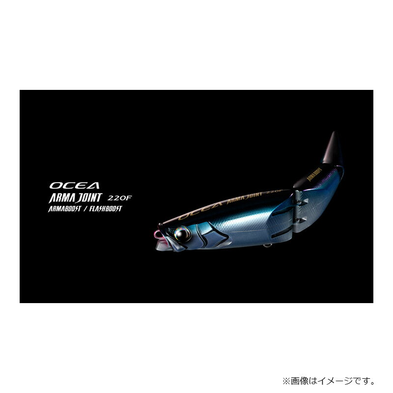 アーマジョイント 220F アーマブースト/フラッシュブースト STクリア (フラッシュブースト) の商品画像2枚目