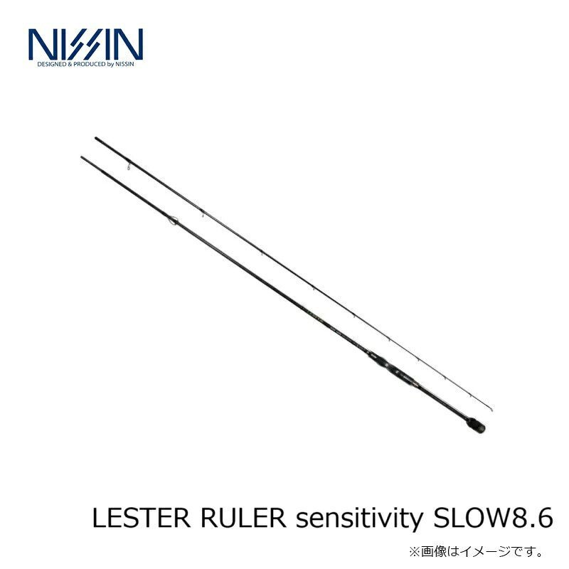 釣具のFTOの宇崎日新　LESTER RULER sensitivity SLOW8.6｜アングル3