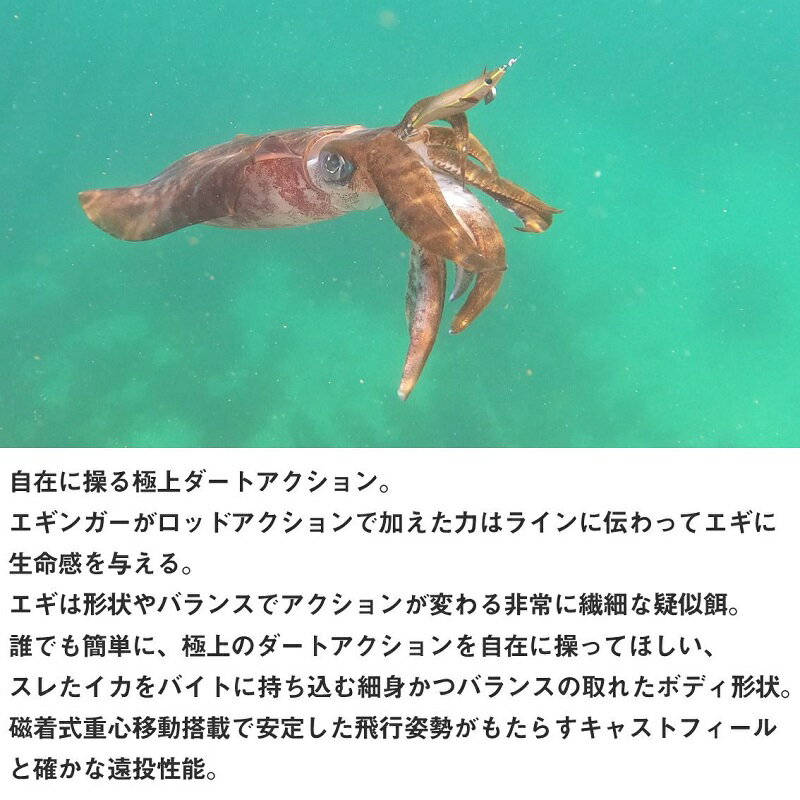 エメラルダスダートLC3.0 エメラルダスダートLC3.0 ケイムラ-艶海老 (3)