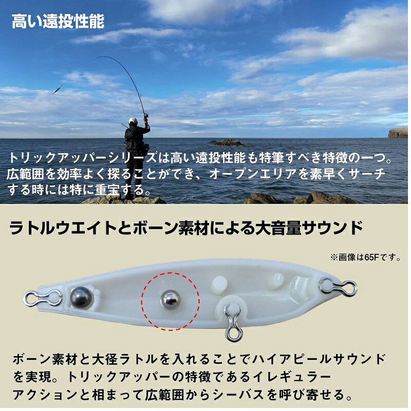 MORETHAN トリックアッパーR130F チャートバックボーン の商品画像3枚目