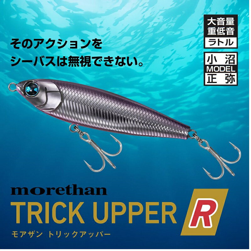 MORETHAN トリックアッパーR130F アデルライムコノシロ の商品画像2枚目