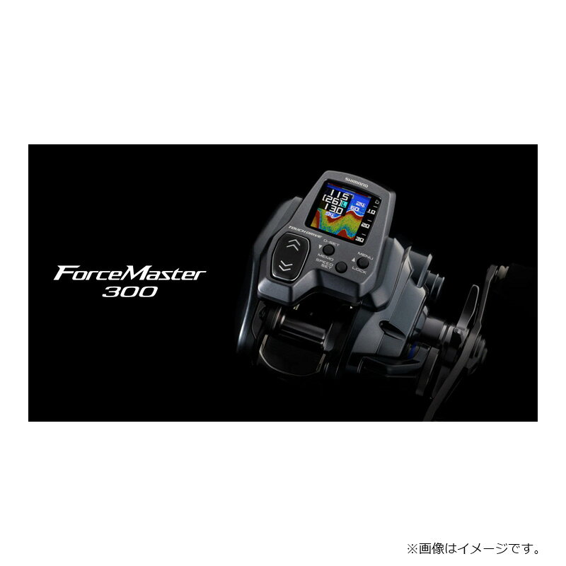 フォースマスター 301DH の商品画像2枚目