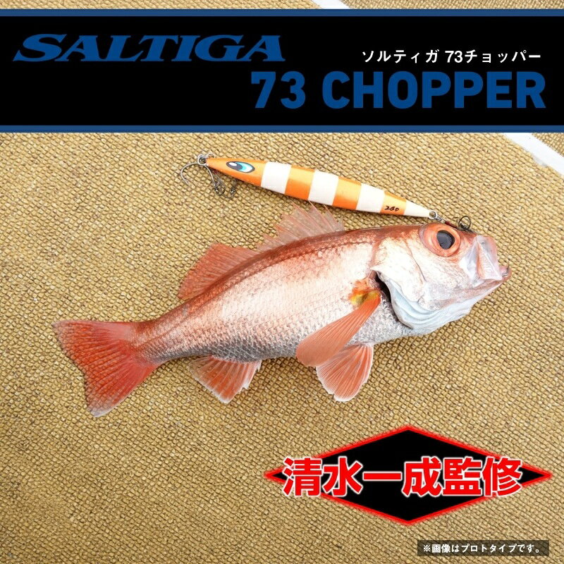 ソルティガ73チョッパー 150g MLアカキンゼブラグロー の商品画像2枚目