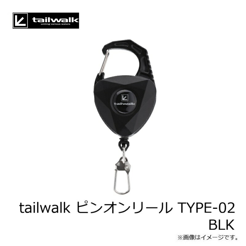 �����ƥå���tailwalk �ԥ󥪥�꡼�� TYPE-02 BLK