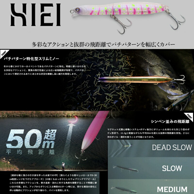 ヒエイ 93SF アカバチ (2)