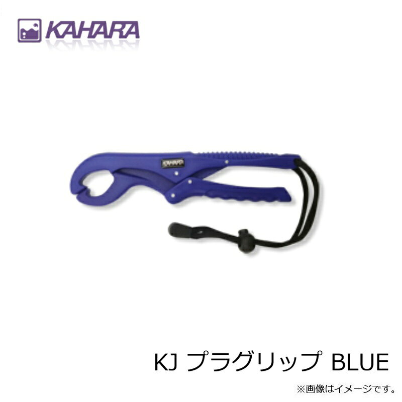 ���ϥ饸��ѥ�KJ �ץ饰��å� BLUE