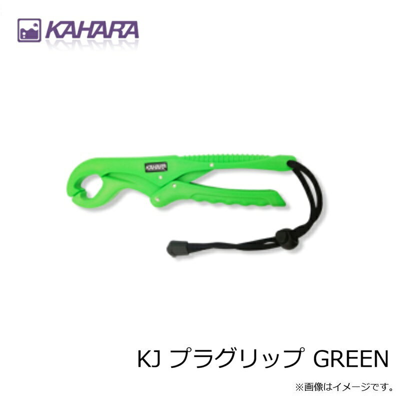 ���ϥ饸��ѥ�KJ �ץ饰��å� GREEN