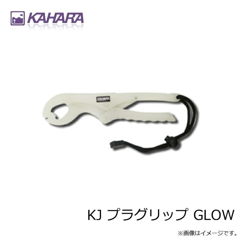 ���ϥ饸��ѥ�KJ �ץ饰��å� GLOW
