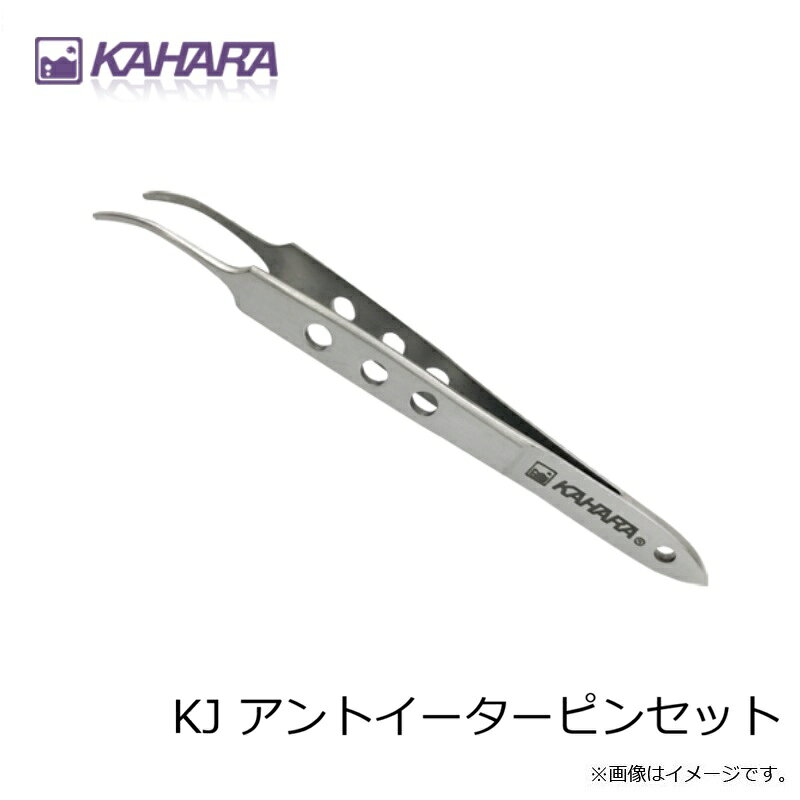 ���ϥ饸��ѥ�KJ ����ȥ��������ԥ󥻥å�