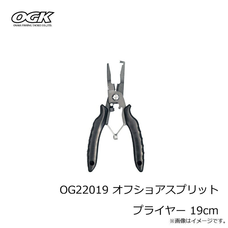 OGK��OG22019 ���ե��祢���ץ�åȥץ饤�䡼 19cm