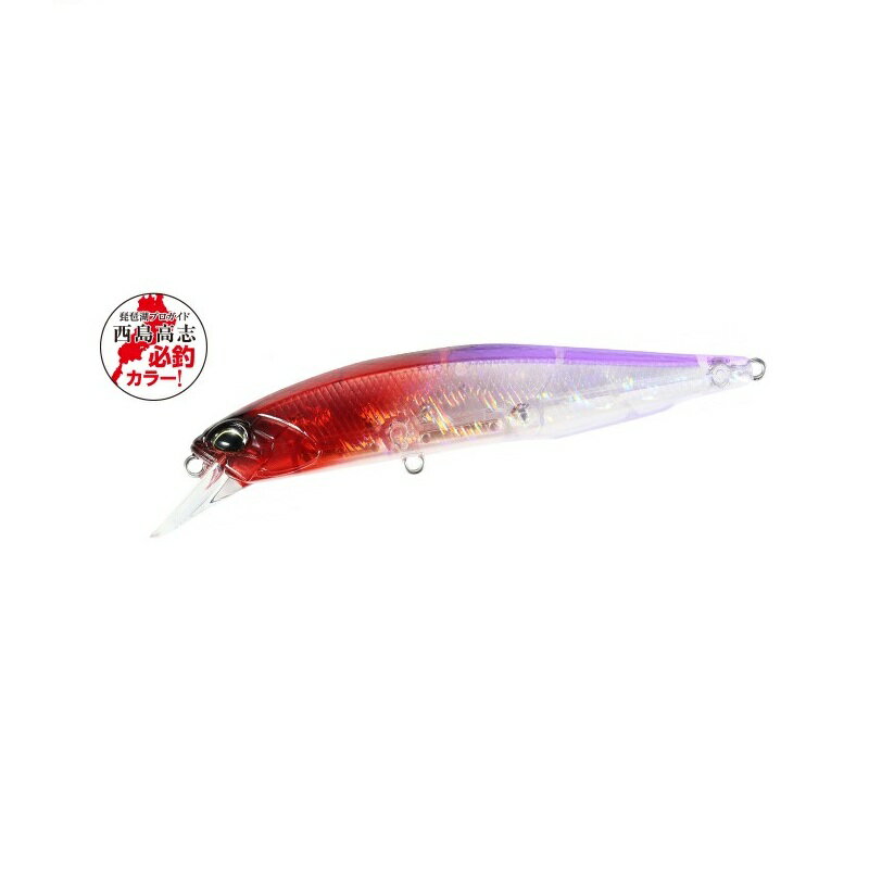 デュオ レアリス ジャークベイト100SP 西島高志 必釣カラー CZAZ610 バーニングパープルシャッド