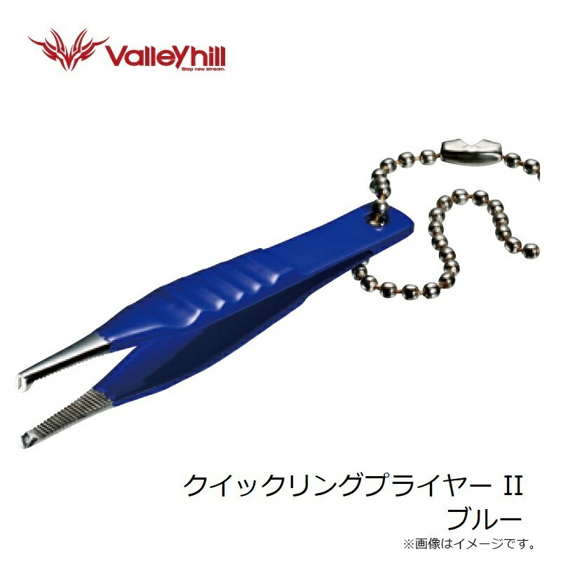 �Х졼�ҥ롡�����å���󥰥ץ饤�䡼 II �֥롼