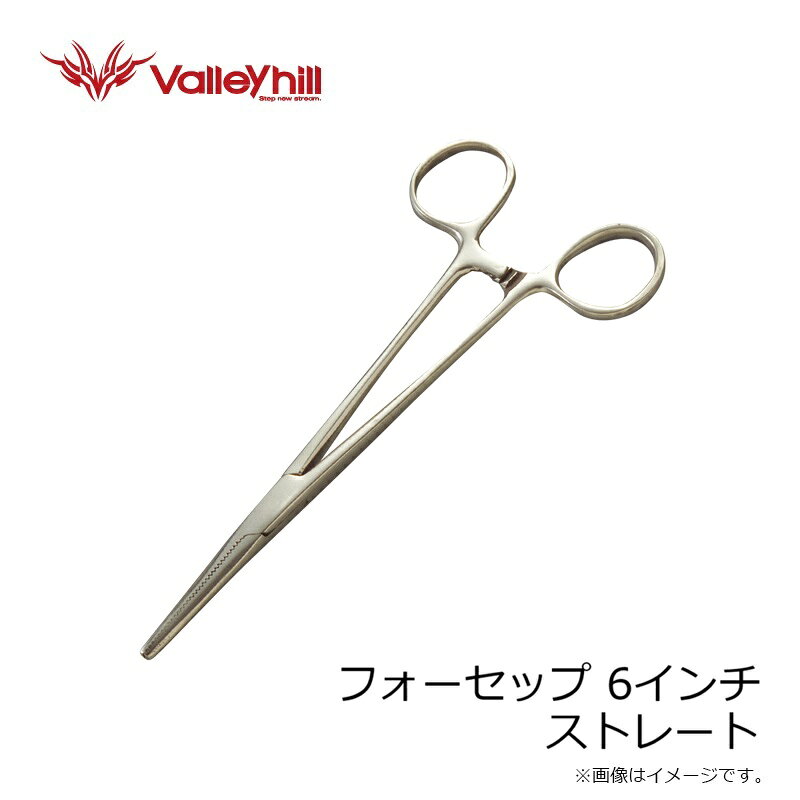 �Х졼�ҥ롡�ե������å� 6����� ���ȥ졼��