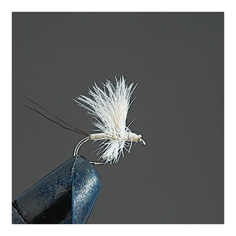 FRYE - バレーヒル　完成品ドライフライ D3 CDCソラックスダン CR