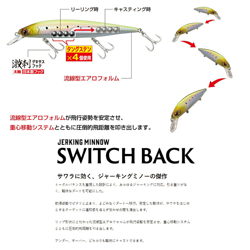 スイッチバック 20.5g チャートバック キャンディ(ケイムラ) の商品画像2枚目