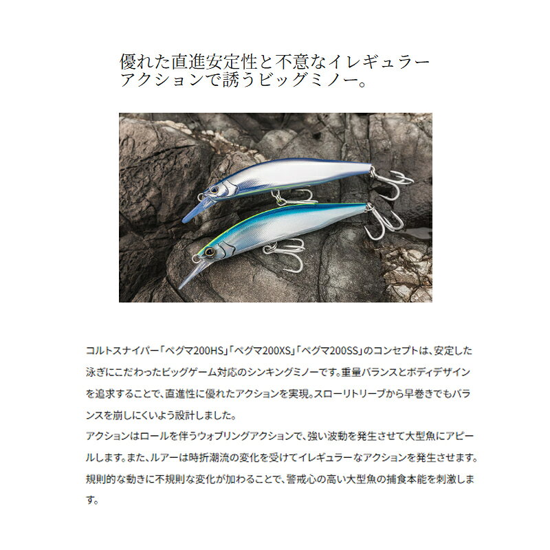 ペグマ 200SS ジェットブースト TフルグローCB の商品画像3枚目